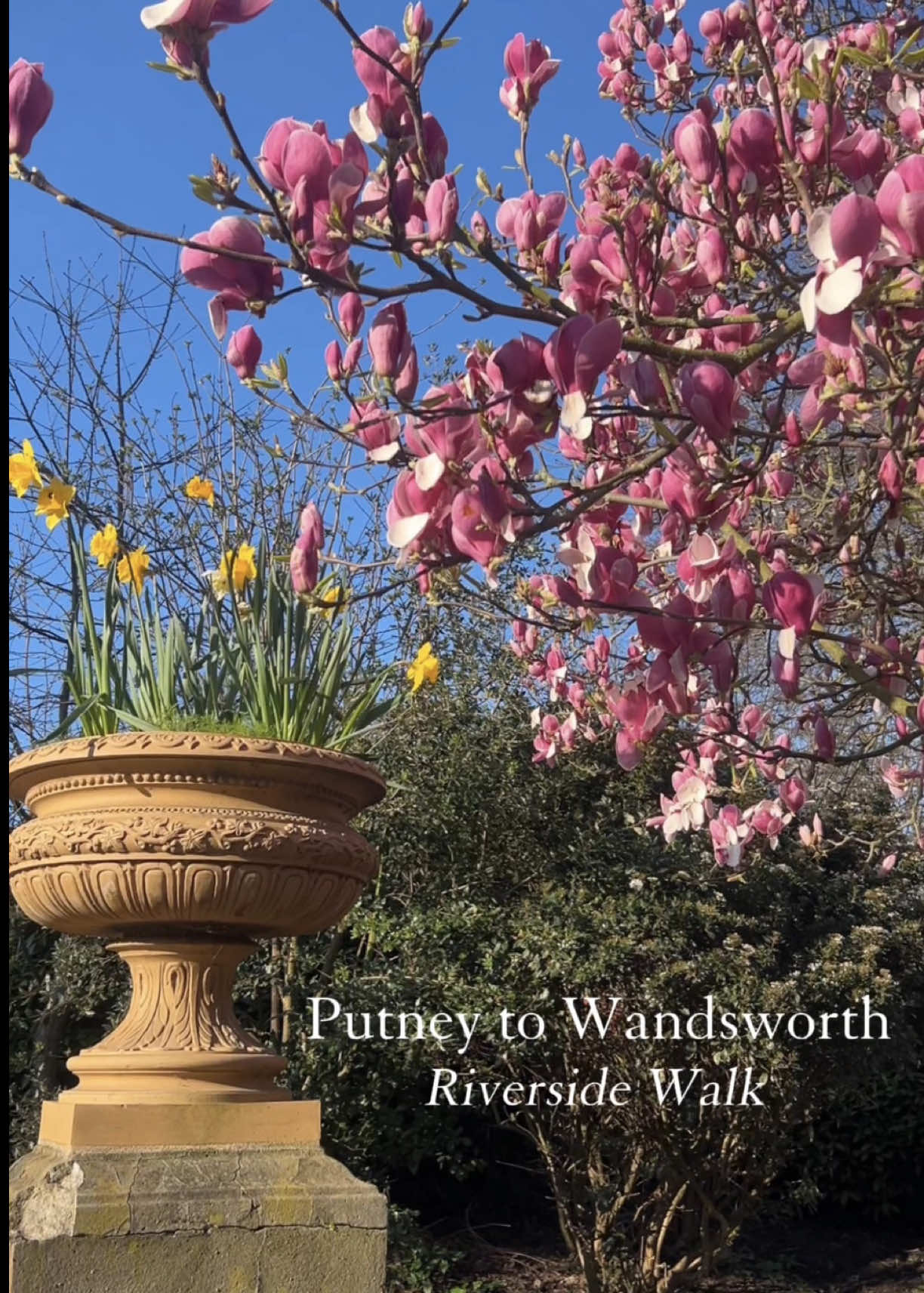 Slow wander from Putney Bridge to Wandsworth Town — video still by Lizzy