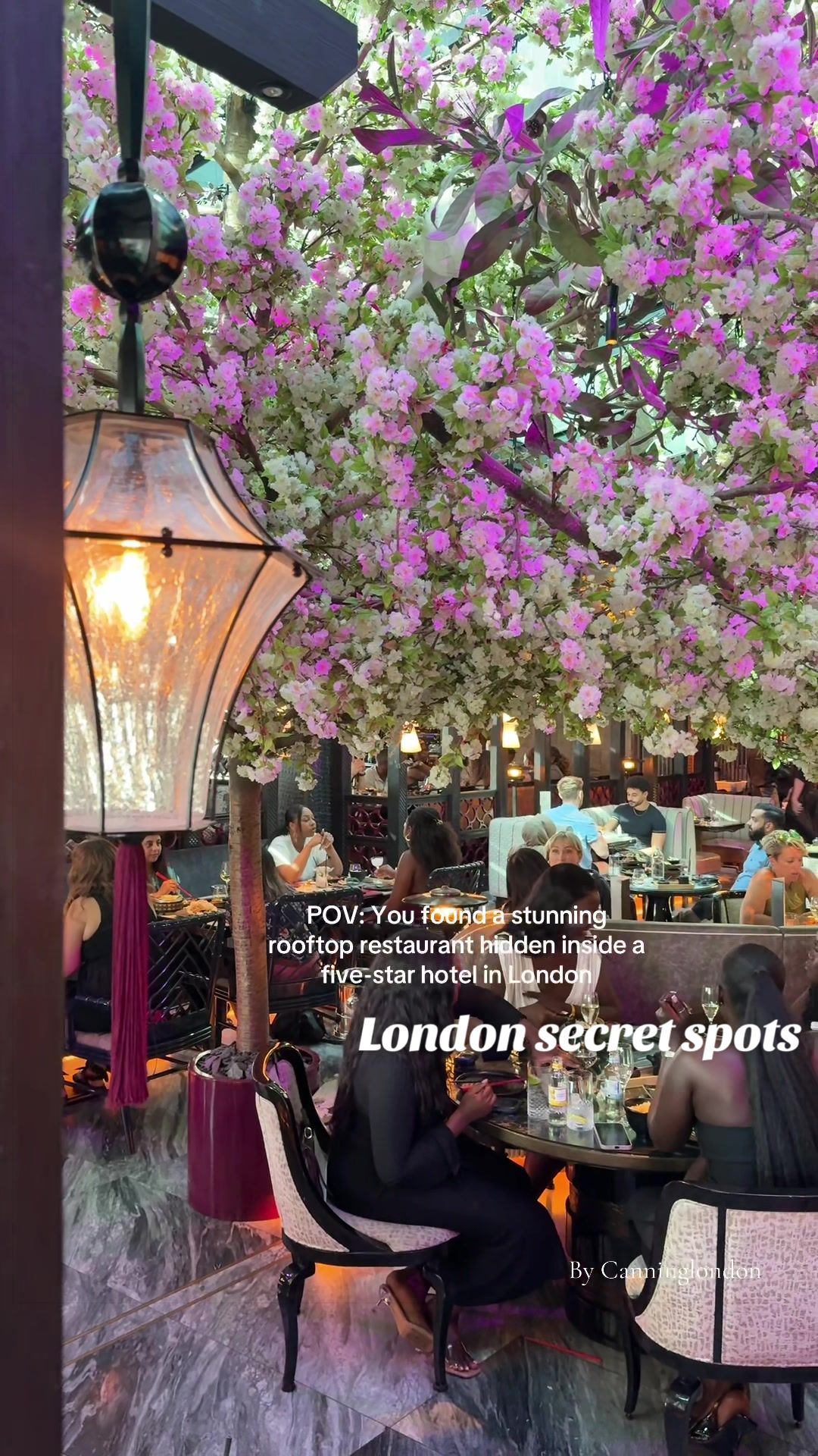 Modern Chinese under the blossom trees — video still by Canning-London spots/cafe